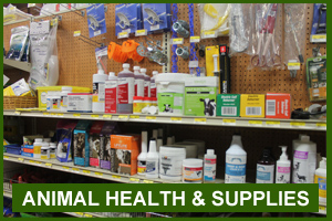 Animal Health & Supplies