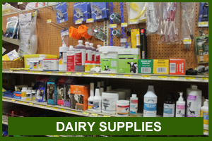 Dairy Supplies