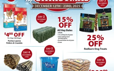 12 Deals of Christmas