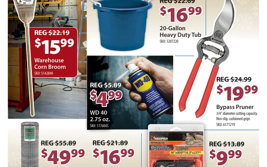 January Door Buster Deals