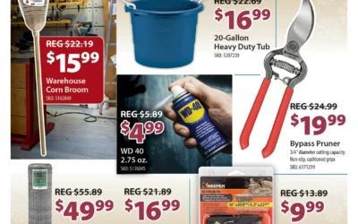 January Door Buster Deals