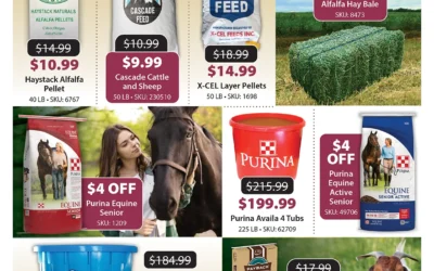 Feed Sale