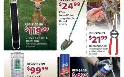 February Door Buster Deals